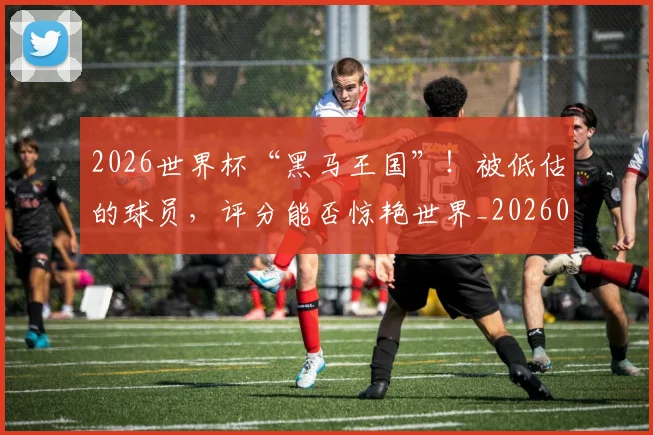 2026世界杯“黑马王国”！被低估的球员，评分能否惊艳世界_20260702033217