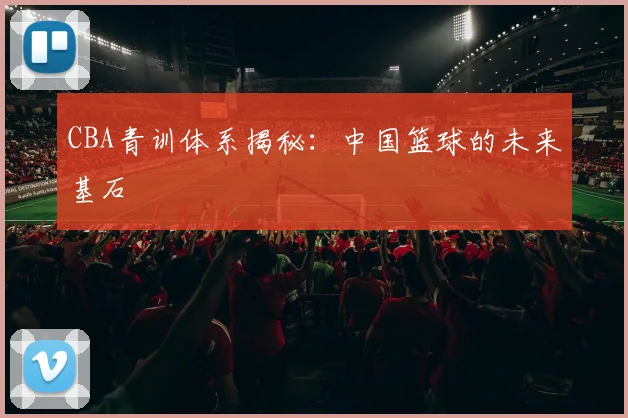CBA青训体系揭秘：中国篮球的未来基石