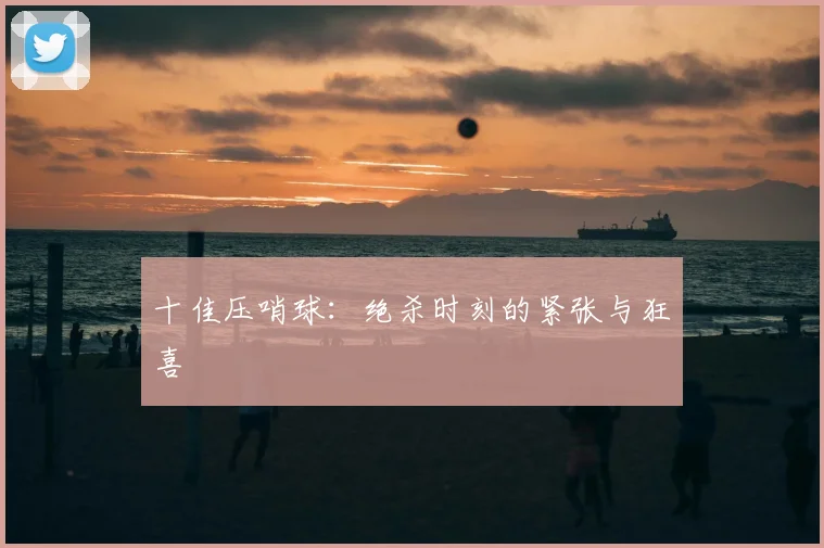 十佳压哨球：绝杀时刻的紧张与狂喜